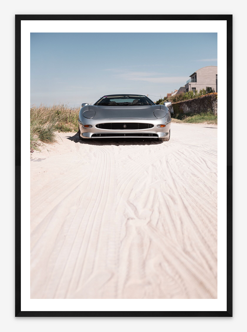 SAND JAGUAR