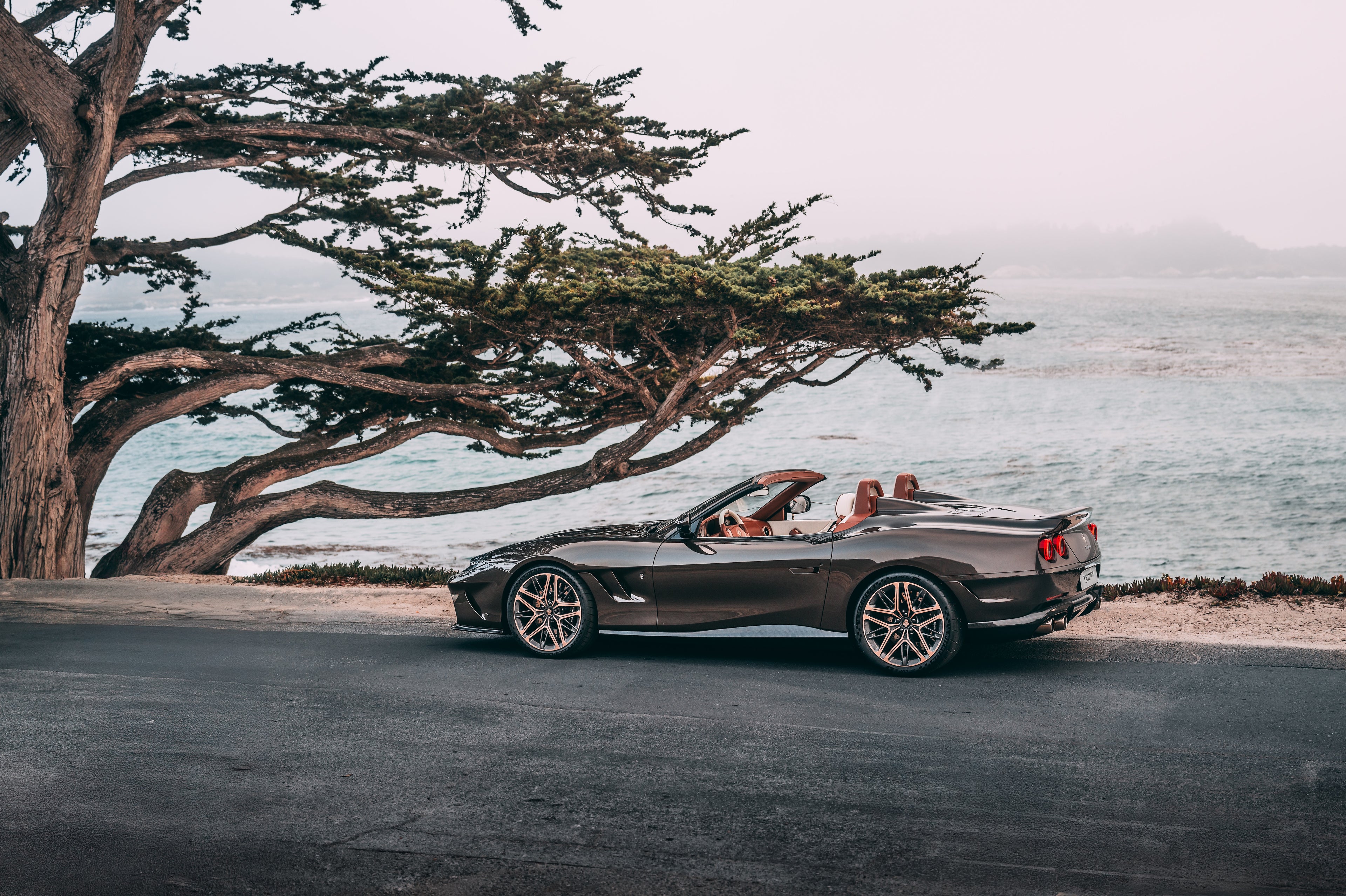 CREDIT TO BAUER STEPHAN 32.jpg__PID:c0118761-b7b6-4755-ac00-6269e557afec
